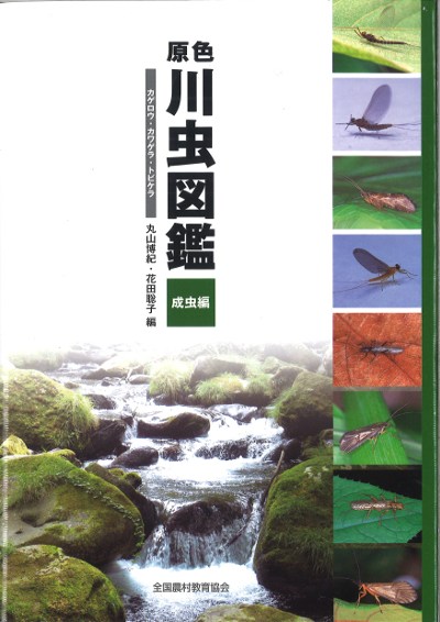 原色川虫図鑑 成虫編 原色川虫図鑑 成虫編』丸山博紀著 - 田舎の本屋さん