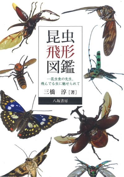 昆虫飛形図鑑』三橋淳著 - 田舎の本屋さん