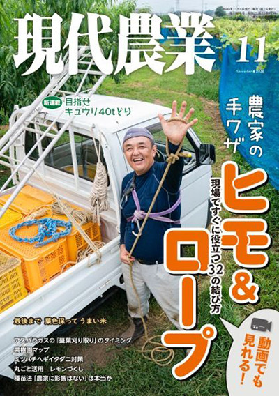 自然栽培(全20巻) 自然栽培Vol.8 「土と健康」 - メルカリ