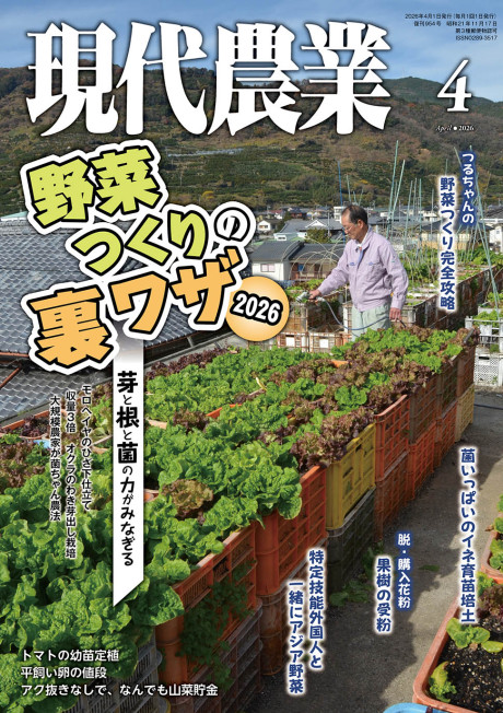 現代農業　2026年3月号