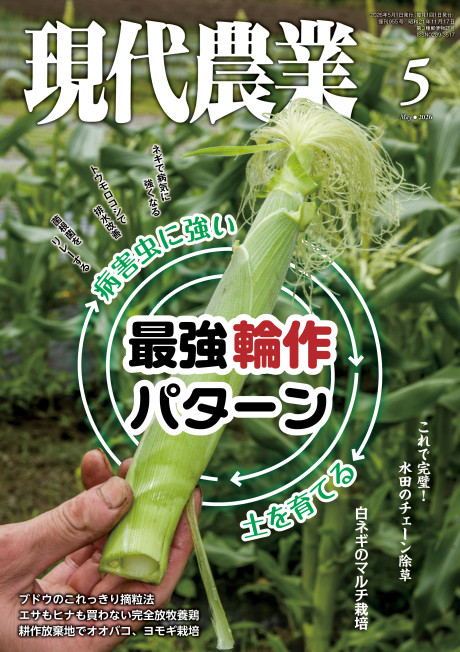 現代農業 2026年3月号